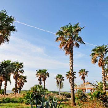 voyage Port-Fréjus